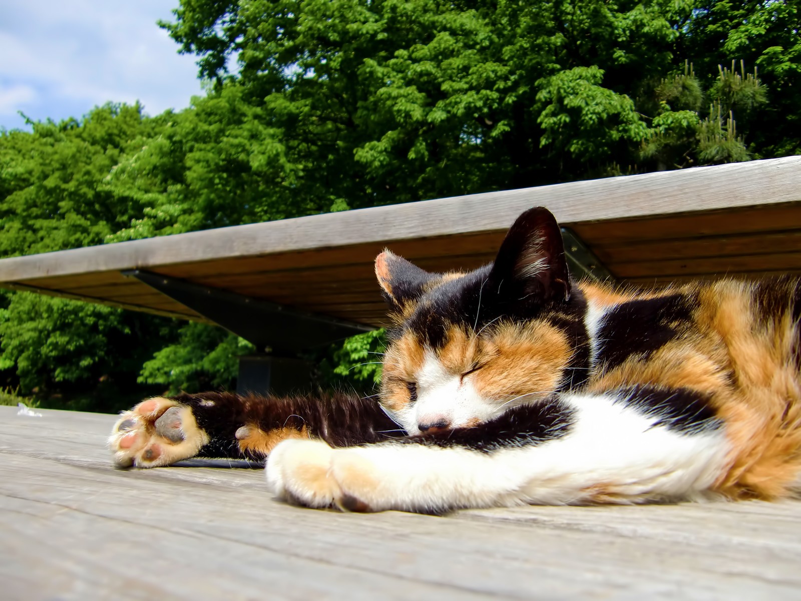 気兼ねなくごろ寝を楽しむために アイキャッチ画像