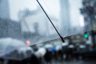 こんなときどうするの？…「室内の雨漏りチェック」 アイキャッチ画像