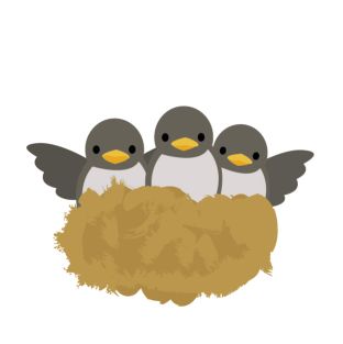 こんなときどうするの？…「つばめの巣作り」 アイキャッチ画像