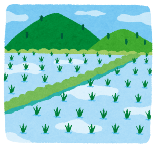 新築前に知っておきたい！田んぼだった土地に家を建てる際の注意点とは アイキャッチ画像