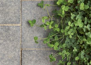 新築の庭づくりで後悔しないためのタイル施工チェックポイント アイキャッチ画像