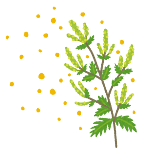 こんなときどうするの？…「花粉対策の準備」 アイキャッチ画像