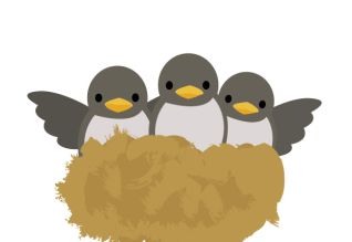 こんなときどうするの？…「つばめの巣作り」 アイキャッチ画像