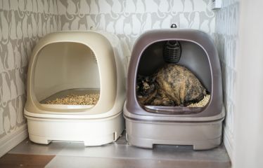 トイレスペースは猫柄のクロスで遊び心も