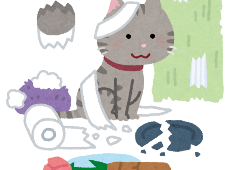 こんなときどうするの？…「窓まわりの猫対策」 アイキャッチ画像