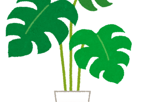 室内緑化に興味はありますか？ アイキャッチ画像