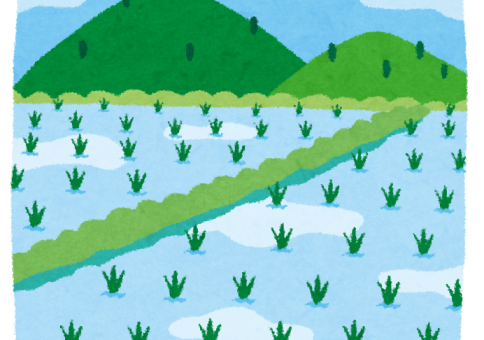 新築前に知っておきたい！田んぼだった土地に家を建てる際の注意点とは アイキャッチ画像