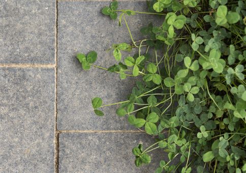 新築の庭づくりで後悔しないためのタイル施工チェックポイント アイキャッチ画像