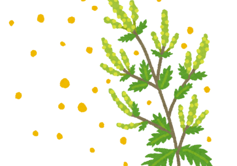 こんなときどうするの？…「花粉対策の準備」 アイキャッチ画像